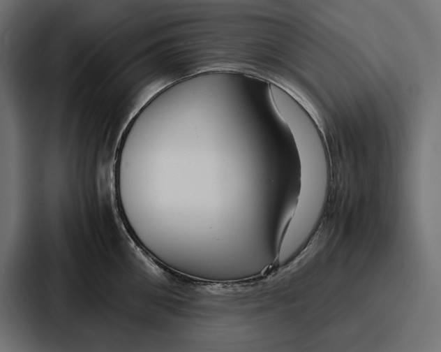 X0000086740906200705111632