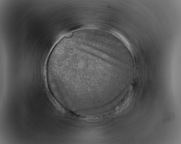 X0000086740907200705111632