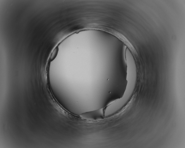 X0000086740908200705111632