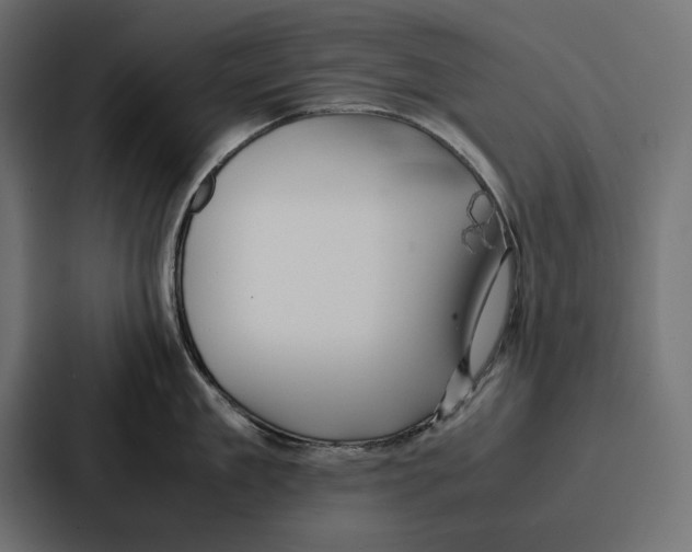 X0000086740909200705111632