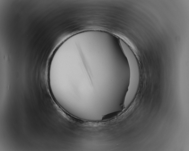 X0000086740910200705111632