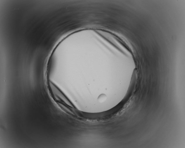 X0000086740911200705111632