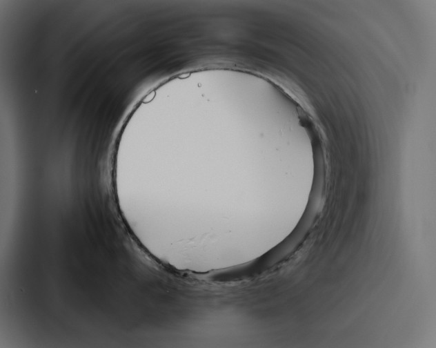 X0000086740912200705111632