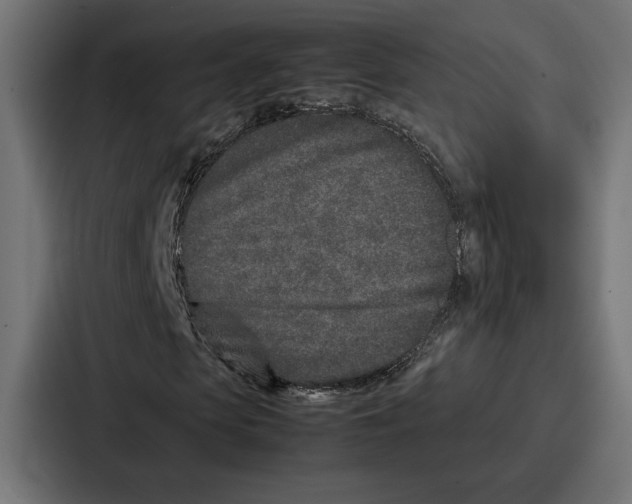 X0000086740913200705111632