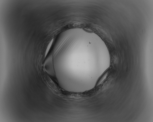 X0000086740914200705111632