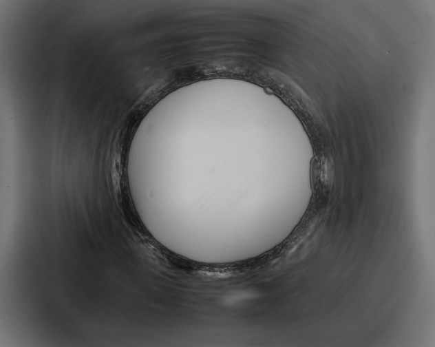 X0000086740915200705111632