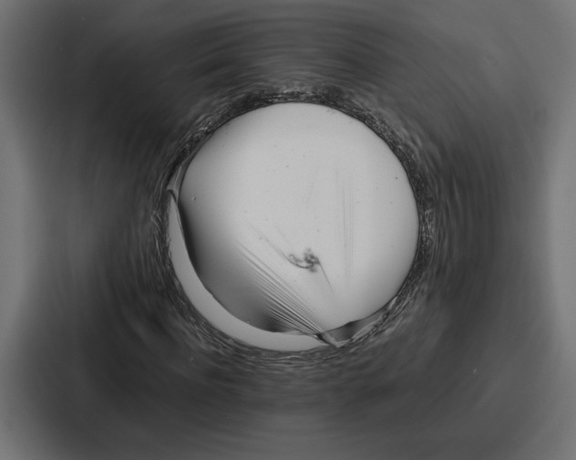X0000086740916200705111632