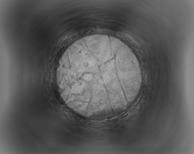 X0000086740917200705111632