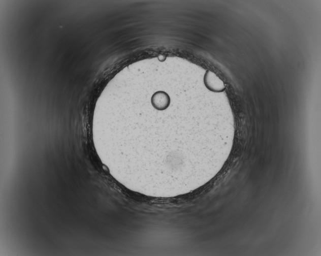 X0000086740918200705111632