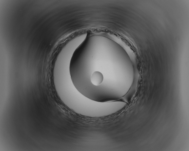 X0000086740920200705111632