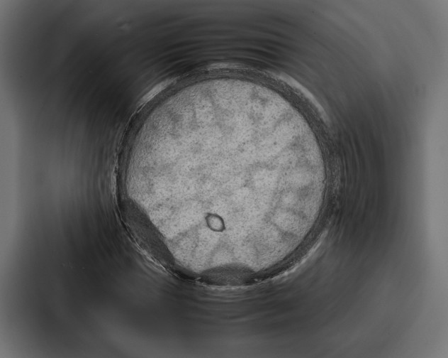 X0000086740921200705111632