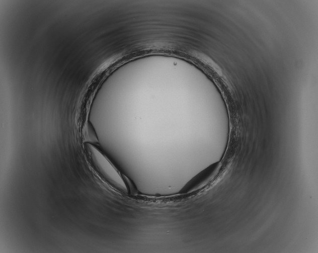 X0000086740922200705111632