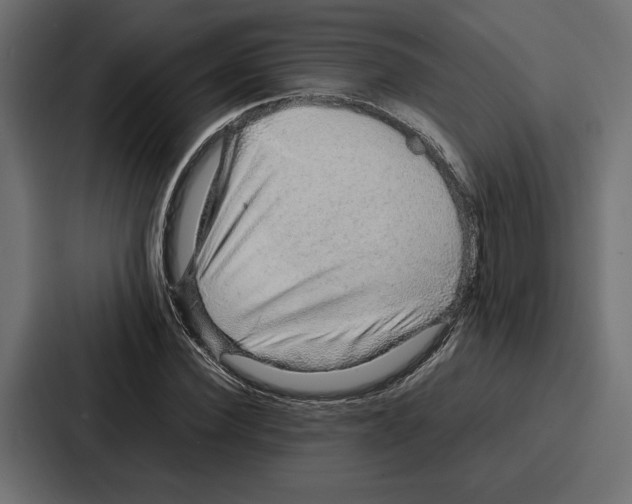 X0000086740924200705111632