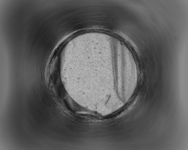 X0000086740925200705111632