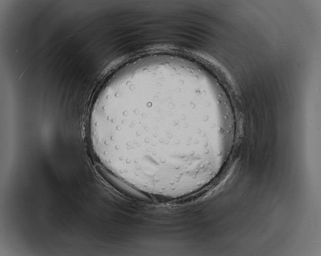 X0000086740929200705111632