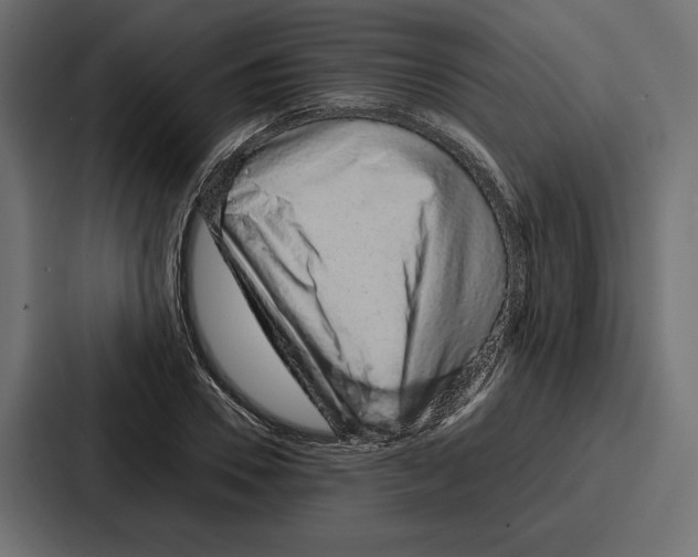 X0000086740930200705111632