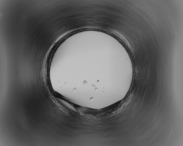 X0000086740931200705111632