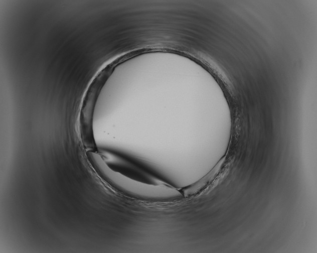 X0000086740932200705111632