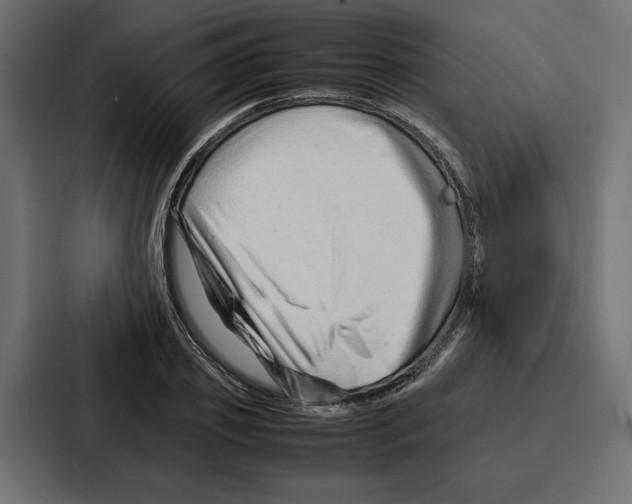 X0000086740933200705111632