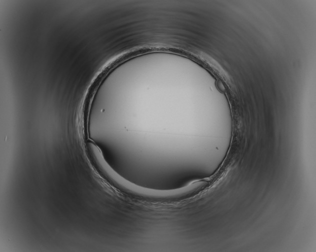 X0000086740934200705111632