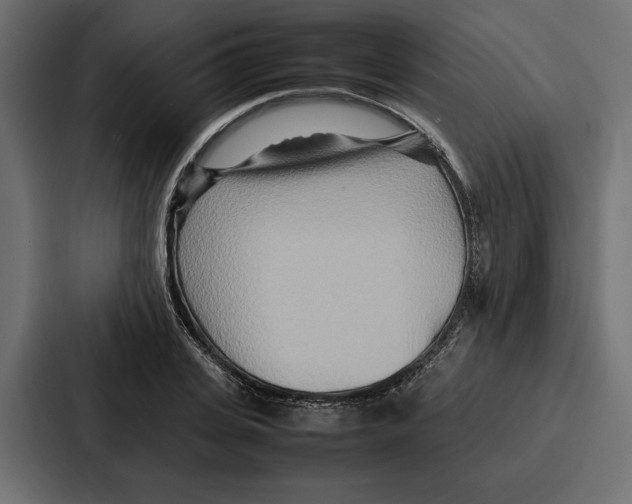 X0000086740935200705111632