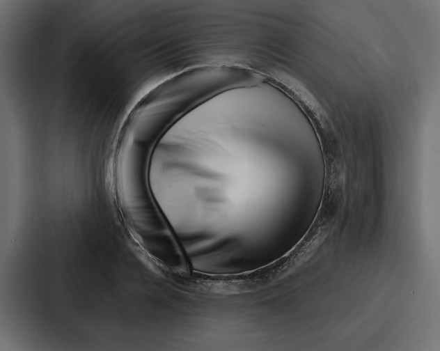 X0000086740936200705111632