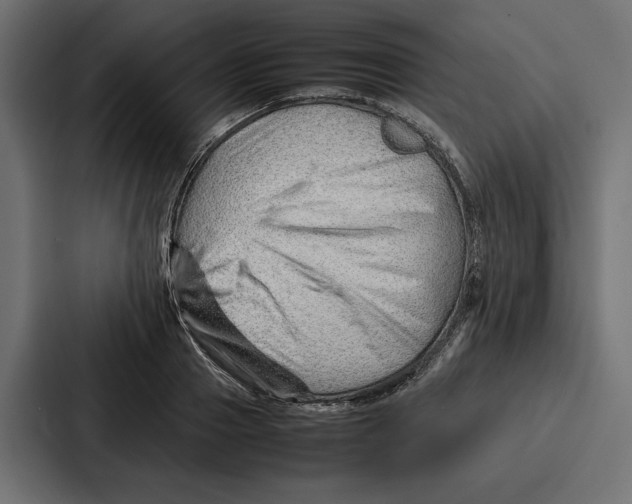 X0000086740937200705111632