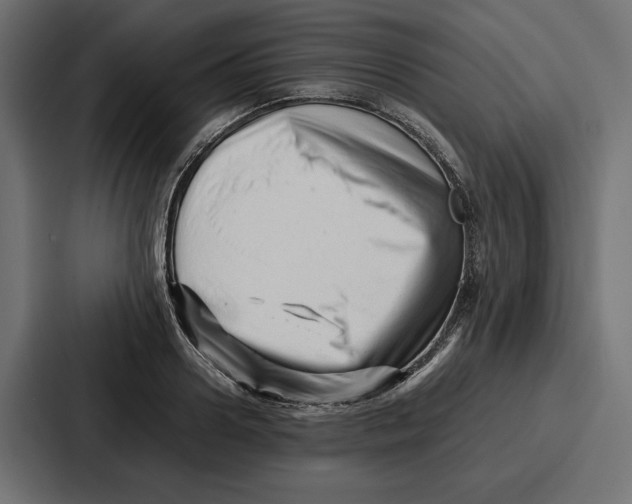 X0000086740938200705111632