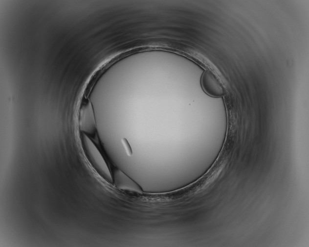 X0000086740939200705111632