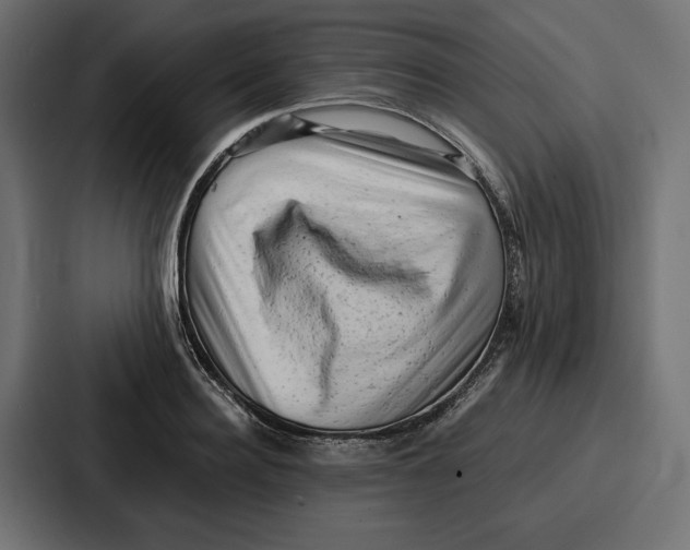 X0000086740940200705111632