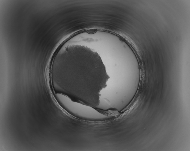 X0000086740941200705111632