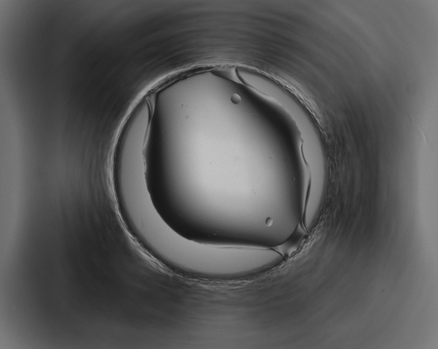 X0000086740942200705111632