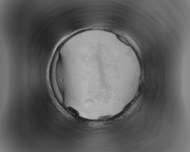 X0000086740944200705111632