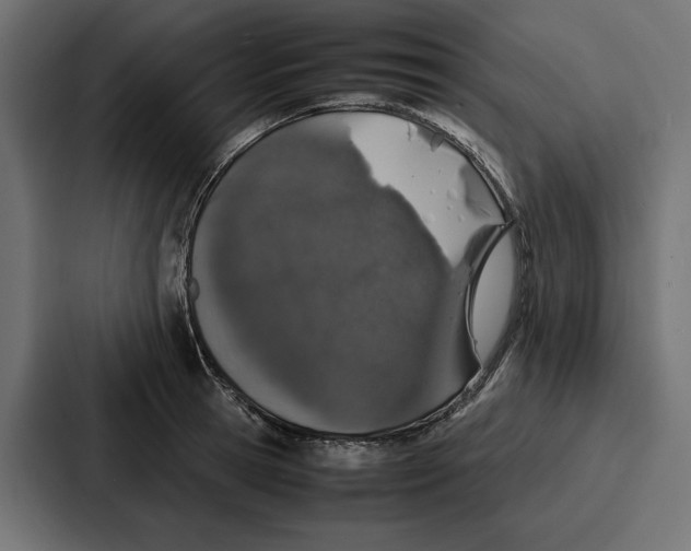 X0000086740945200705111632