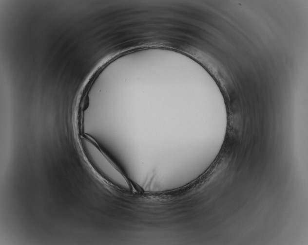 X0000086740947200705111632