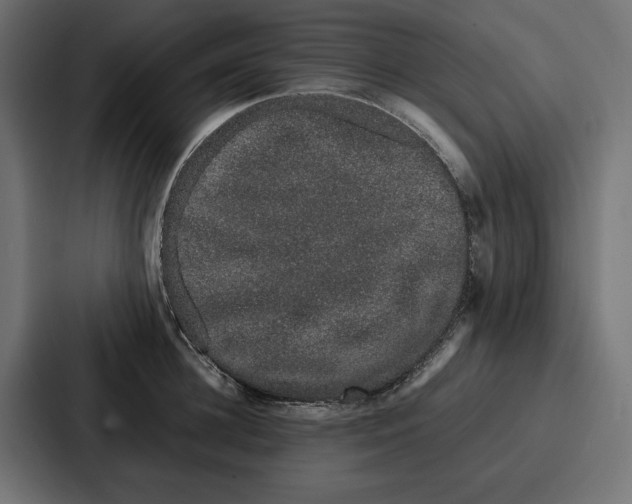 X0000086740948200705111632