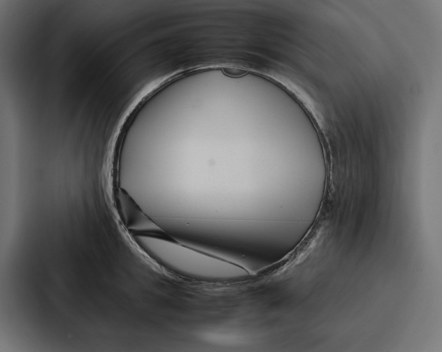X0000086740949200705111632