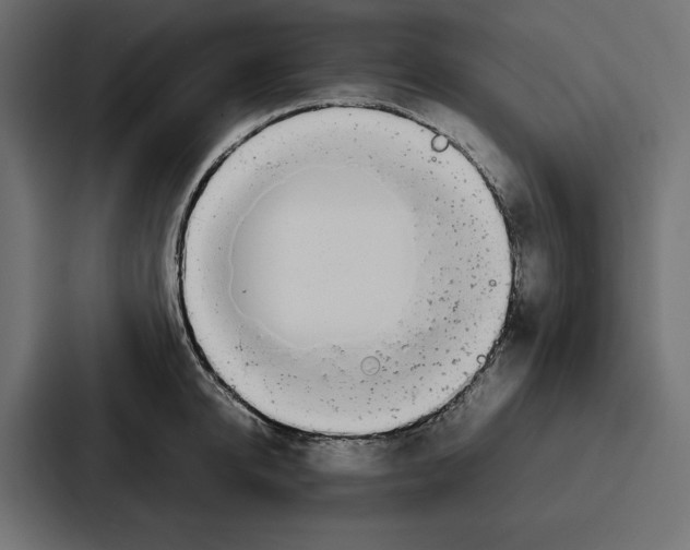 X0000086740950200705111632