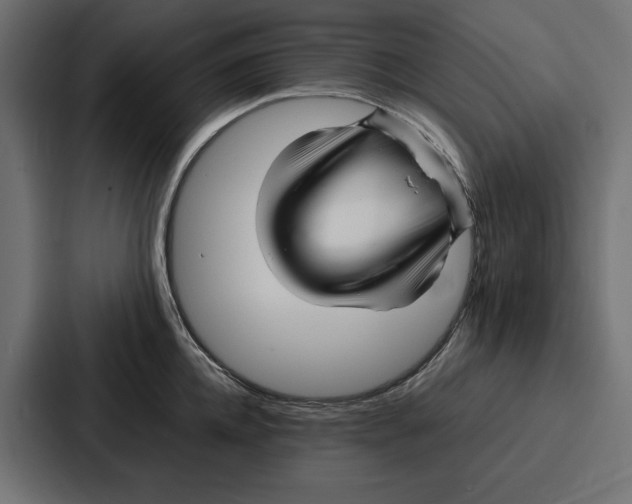 X0000086740952200705111632