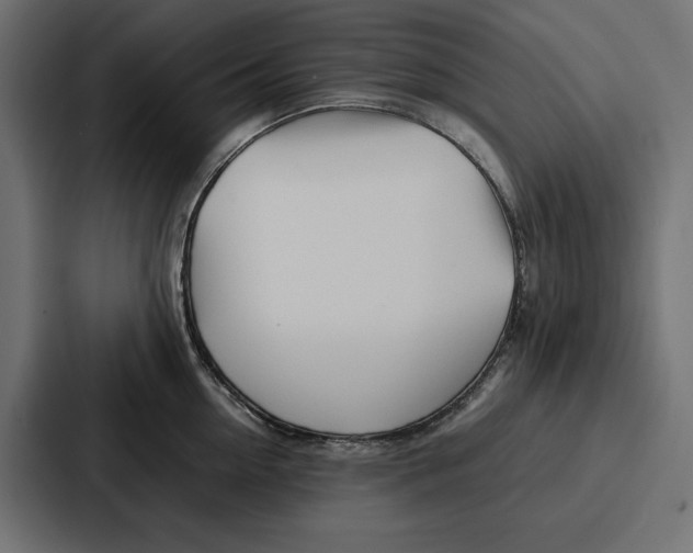 X0000086740954200705111632