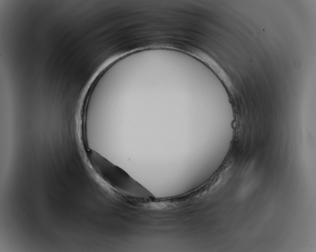 X0000086740955200705111632