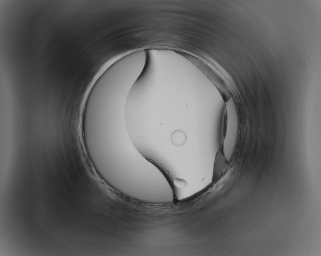 X0000086740956200705111632