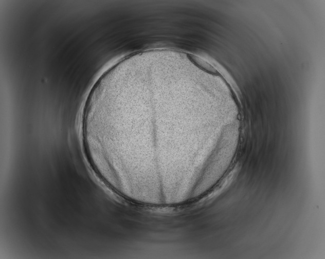 X0000086740957200705111632