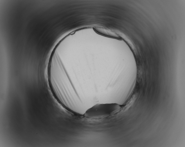X0000086740959200705111632