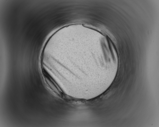 X0000086740960200705111632