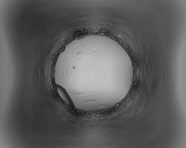 X0000086740961200705111632