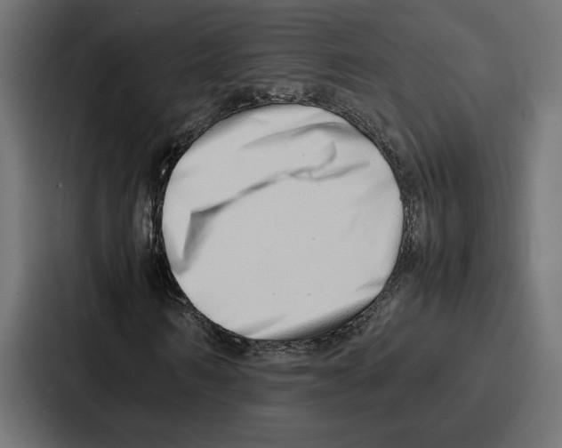 X0000086740962200705111632