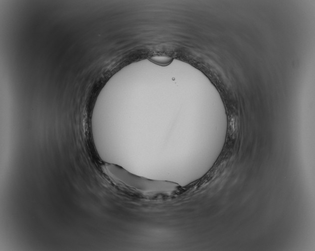 X0000086740963200705111632