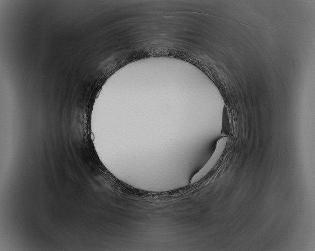 X0000086740964200705111632