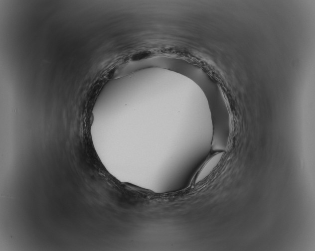 X0000086740965200705111632